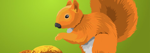 vector-freebies-squirrel