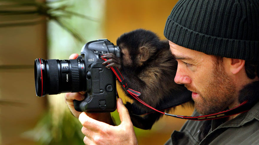 Monkey and a camera