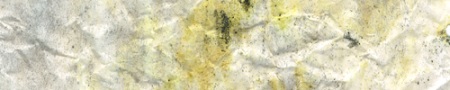 Moldy Paper Textures