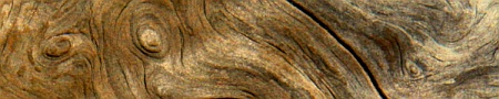 Wooden Textures