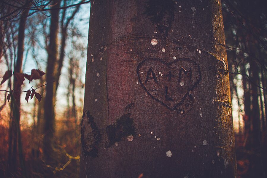 love tree heart