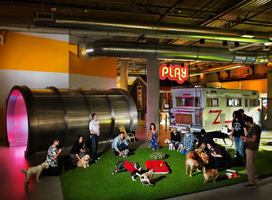 Zynga office