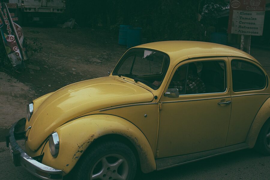 vintage beetle