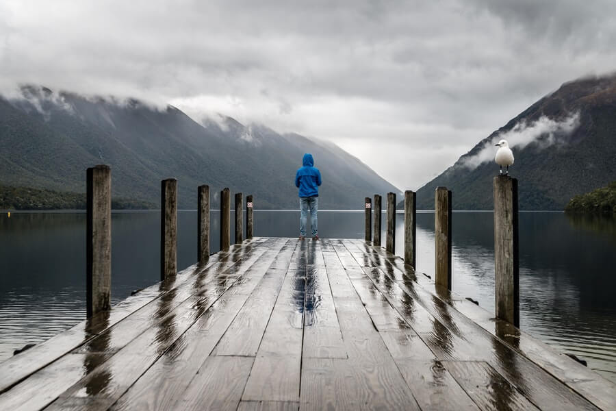 A Person on a Wooden Dock 