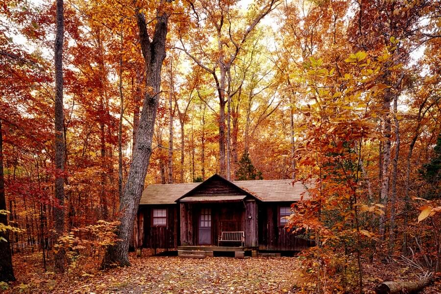 A Cottage in the Woods