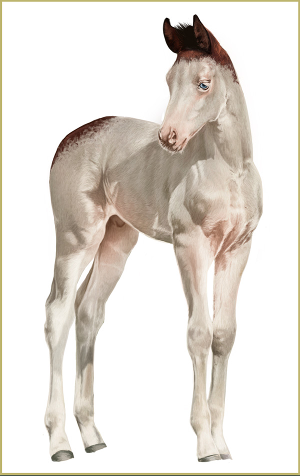Foal Digital Painting Tutorial by ~feverpaint